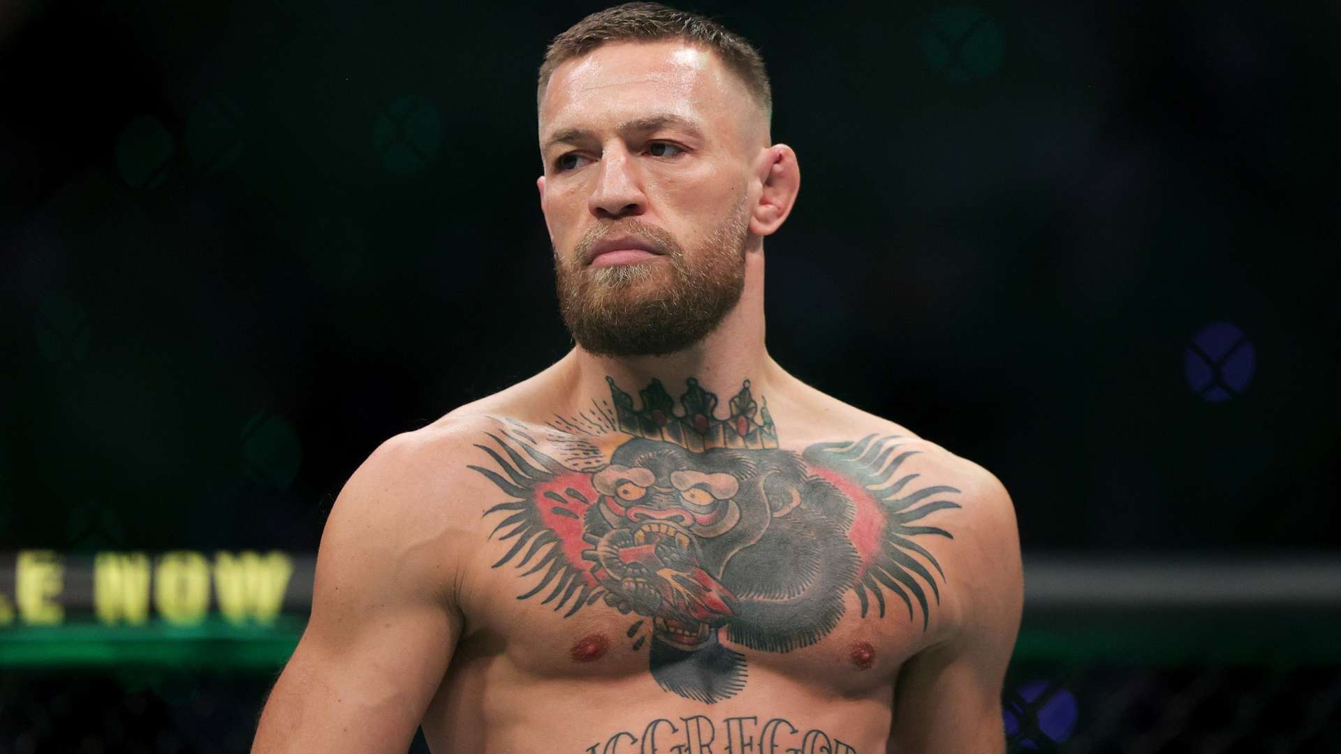 并不总是对 并不总是对